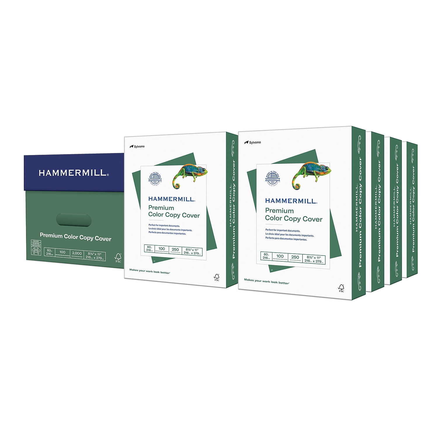 Hammermill  Paper Cover 120023CT