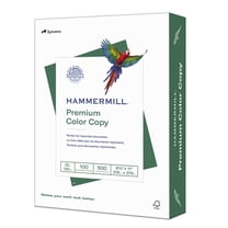 HP Premium 32 lb Printer Paper | 8.5 x 11 | 1 Ream - 500 Sheets | 100 ...