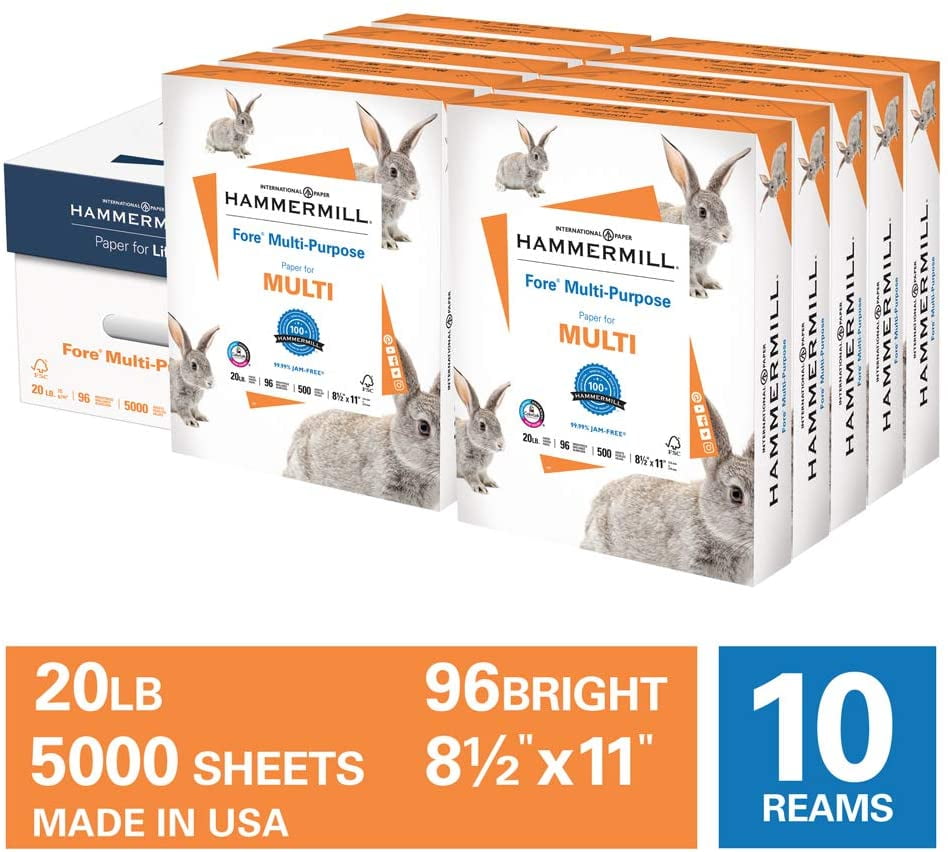 Hammermill Printer 20 lb., Fore Multipurpose Copy Paper, 8.5" x 11", 10 Ream