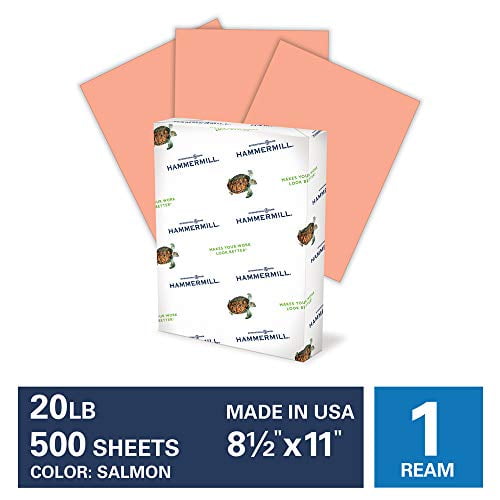 Hammermill Salmon Colored 20lb Copy Paper, 8.5x11, 1 Ream, 500 Total Sheets, Made in USA, Sustainably Sourced From American Family Tree Farms, Acid Free, Pastel Printer Paper, 103119R