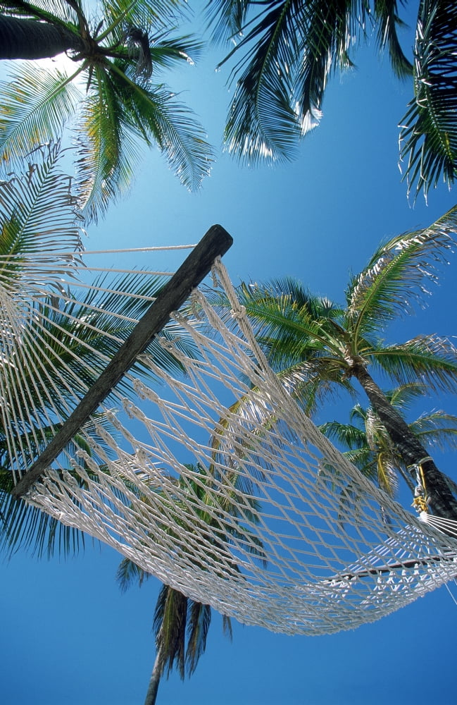 Hammock And Palm Tree Great Barrier Reef Northern Caye Belize Canvas Art - Ron Watts Design Pics (12 x 18)