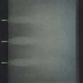 thumbnail image 1 of Hammock - Sleepover Series: Volume 2 - Music & Performance - CD, 1 of 1