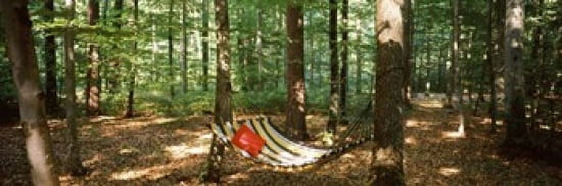 Hammock in a forest Baden-Wurttemberg Germany Canvas Art - Panoramic Images (18 x 6)
