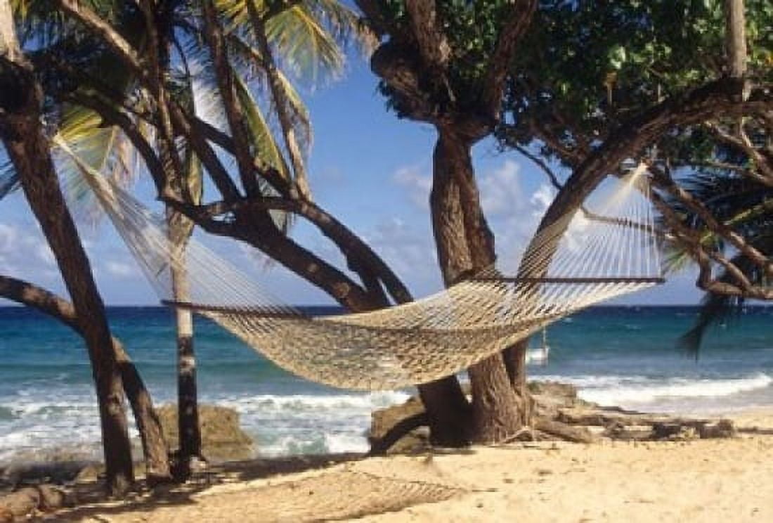 Hammock tied between trees North Shore beach St Croix US Virgin Islands Canvas Art - Alison Jones DanitaDelimont (36 x 24)