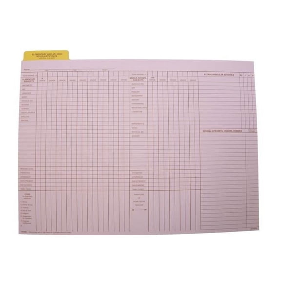Hammond & Stephens Data Insert for Cumulative Record Folder, 9 x 11-3/4 Inches, Set of 25