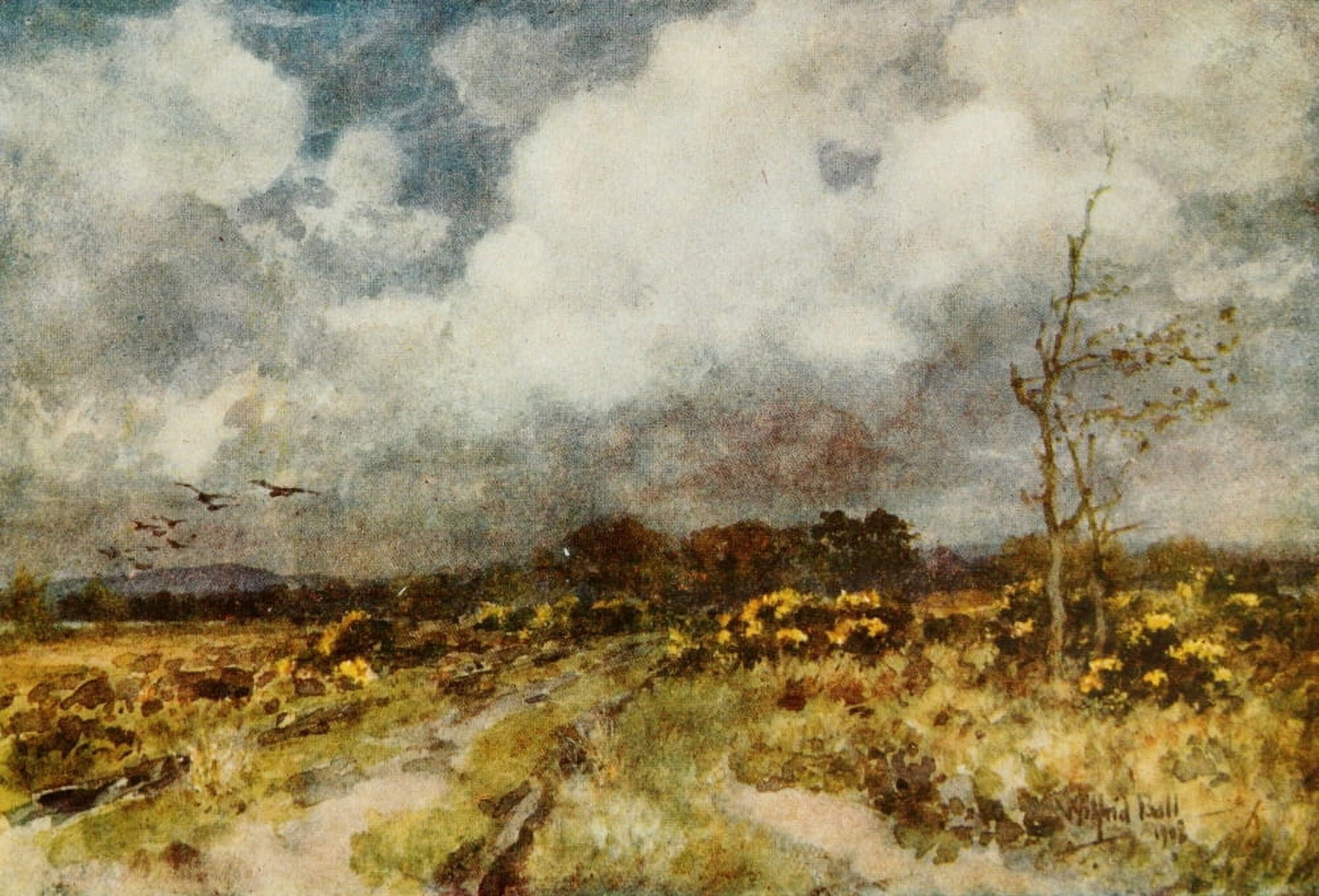 Hampshire 1913 Near Liphook Canvas Art - Wilfrid Ball (18 x 24)