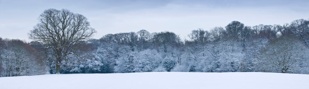 Hampstead Heath in winter North London London England Canvas Art - Panoramic Images (27 x 9)