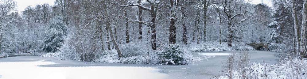Hampstead Heath in winter North London London England Canvas Art - Panoramic Images (36 x 12)