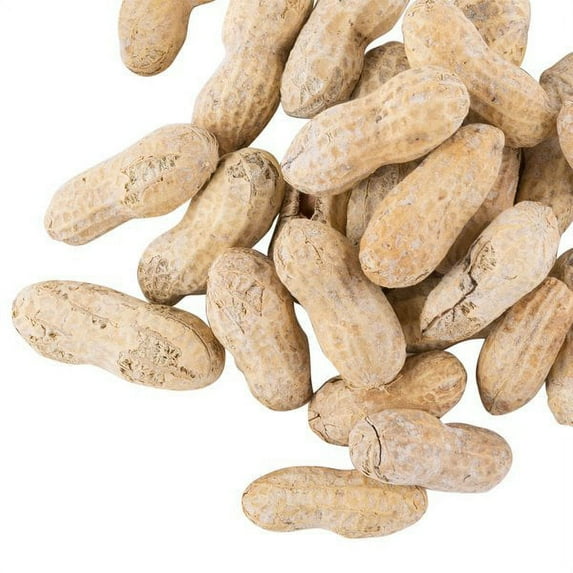 Hampton Farms 25 lb. Roasted Salted In-Shell Peanuts