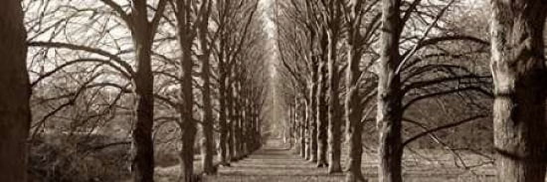 Hampton Gates Promenade - 1 Canvas Art - Alan Blaustein (12 x 36)