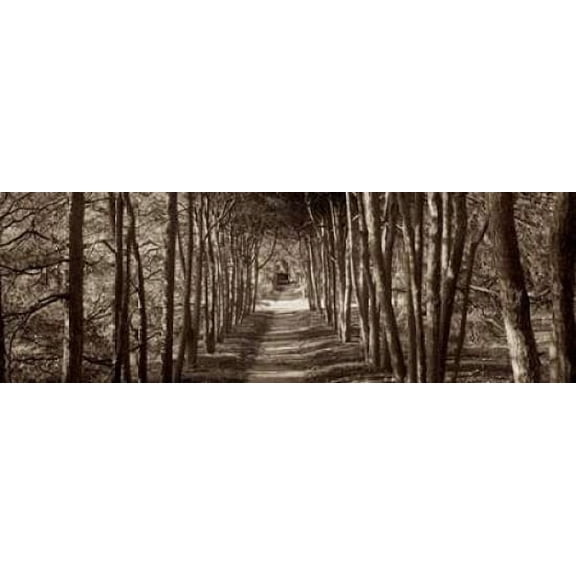 Hampton Gates Promenade - 2 Canvas Art - Alan Blaustein (12 x 36)