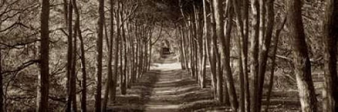Hampton Gates Promenade - 2 Canvas Art - Alan Blaustein (8 x 24)