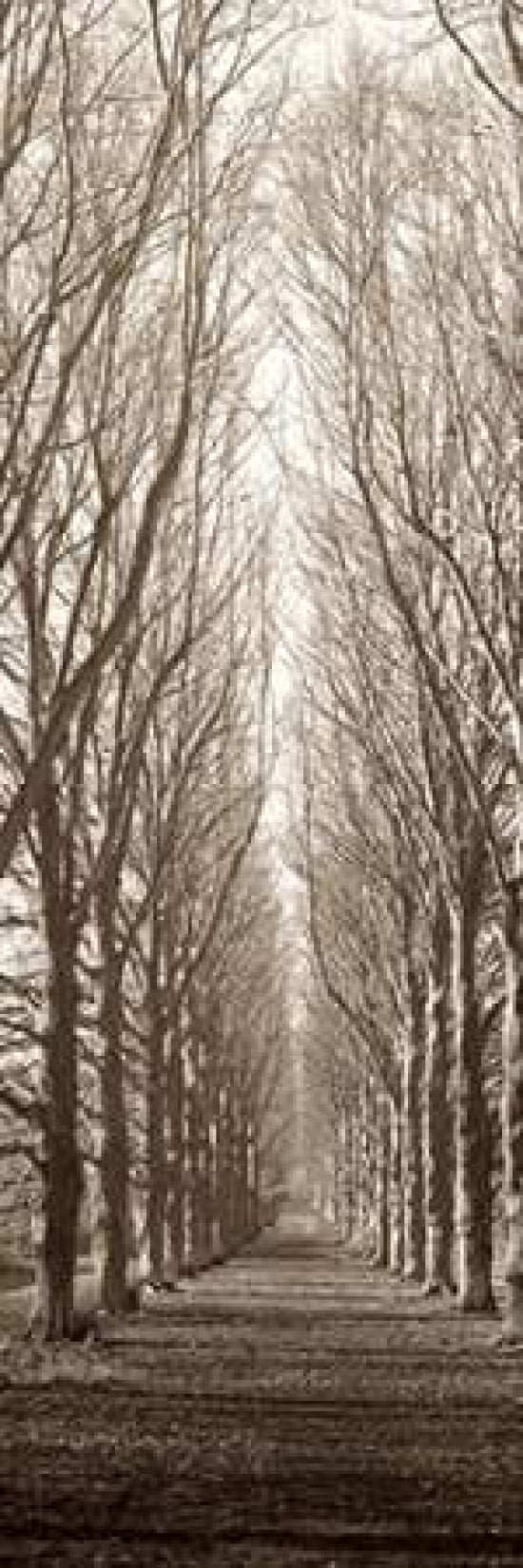 Hampton Gates Promenade Canvas Art - Alan Blaustein (12 x 36)