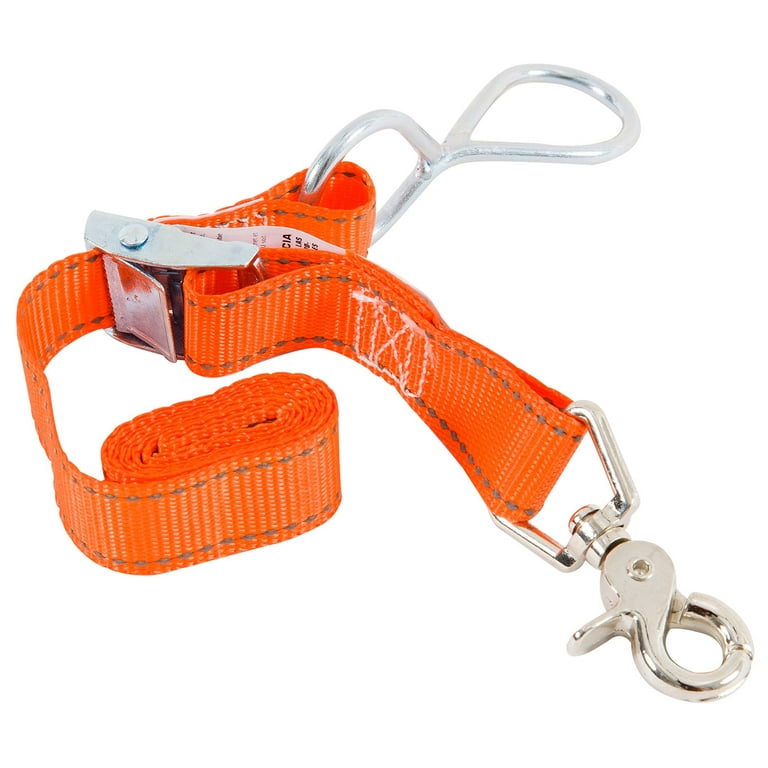 1 in. x 3 ft. x 100 lbs. Trunk Tie Down 1 in. x 3 ft. x 100 lbs. Trunk Tie Down