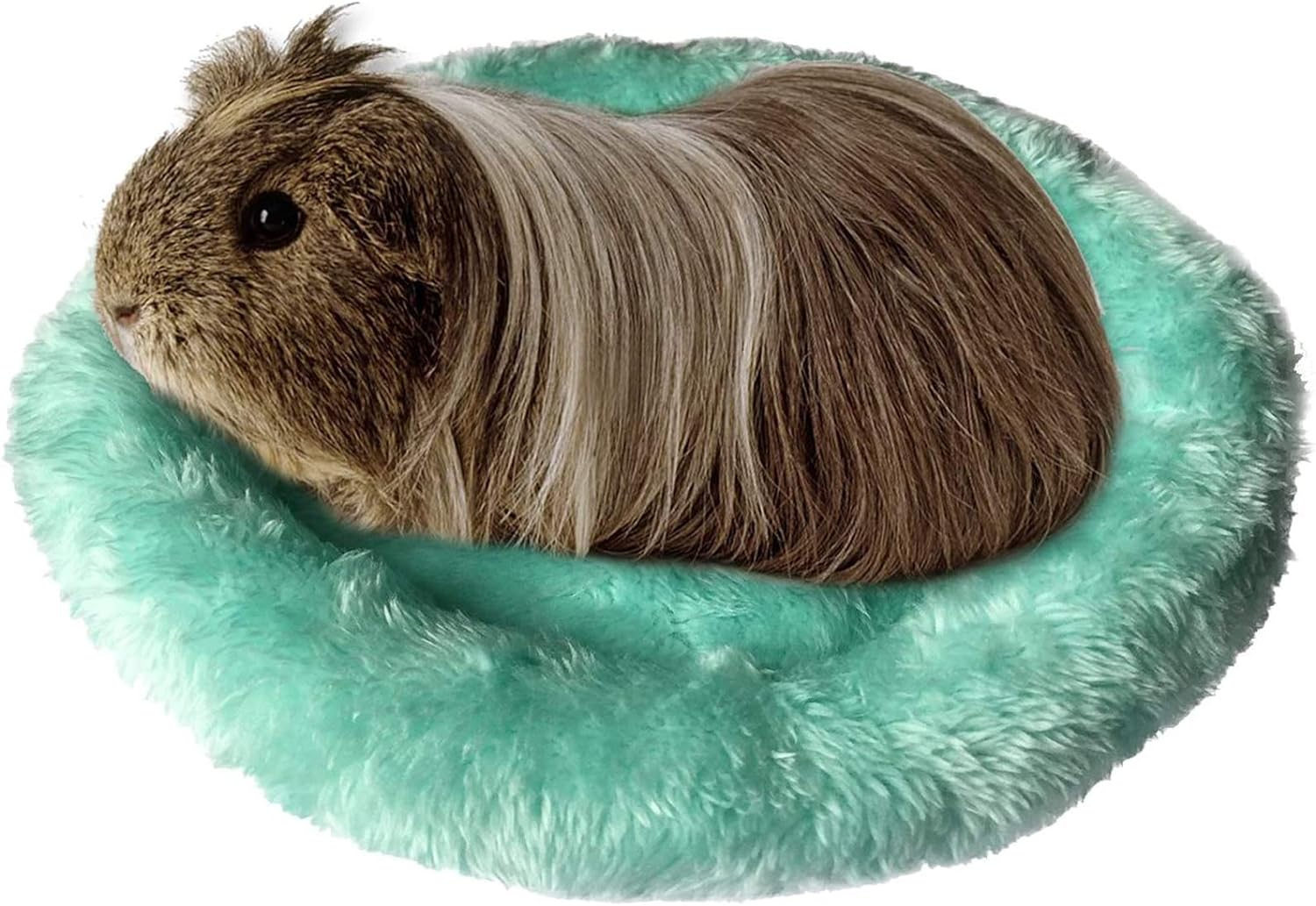 View of Hamster Bed, Round Velvet Warm Sleep Mat Pad for Hamster/Hedgehog ...