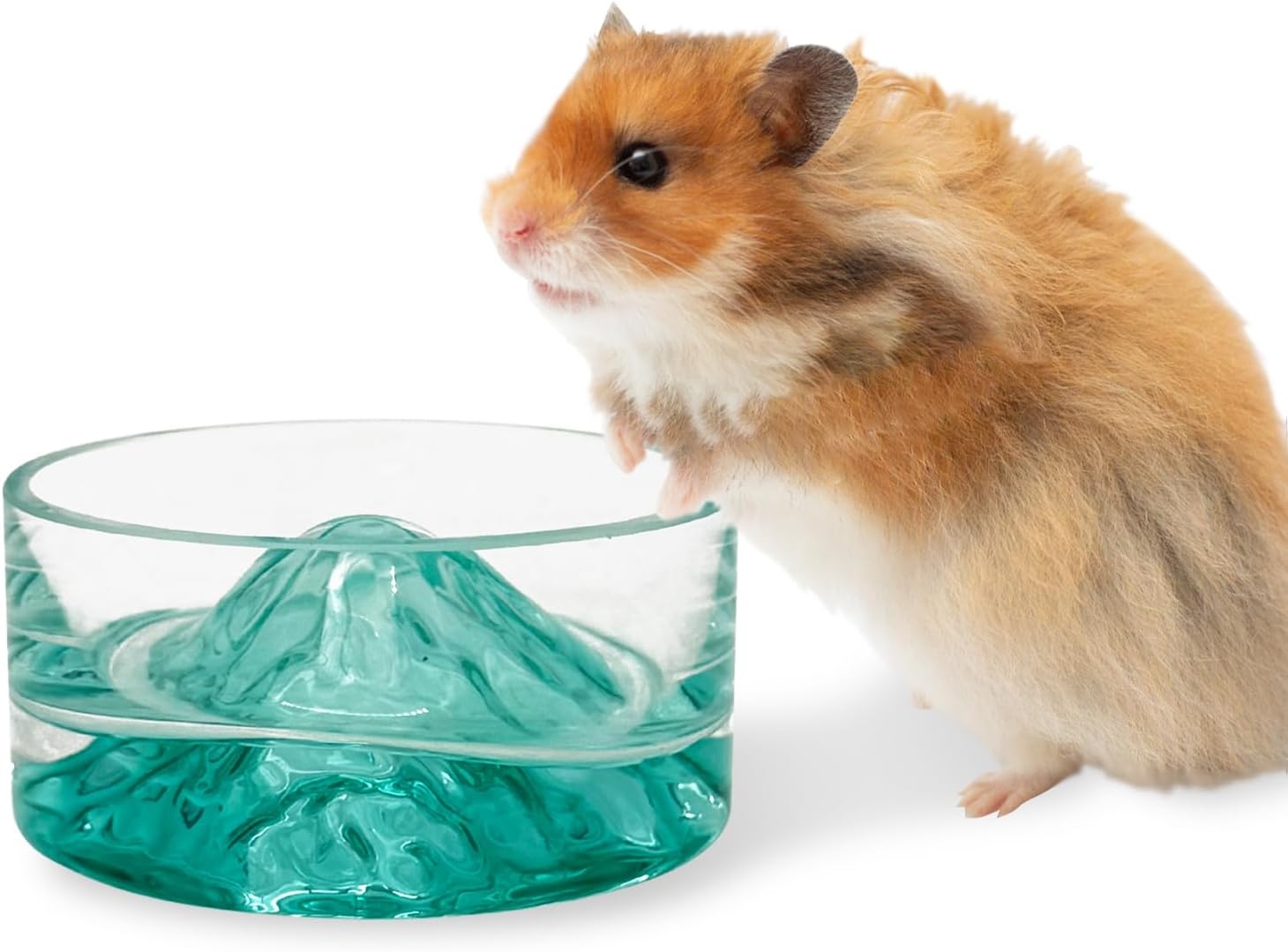 Hamster Food and Water Bowl Mountain Fuji Style Glass Drinking Dwarf ...