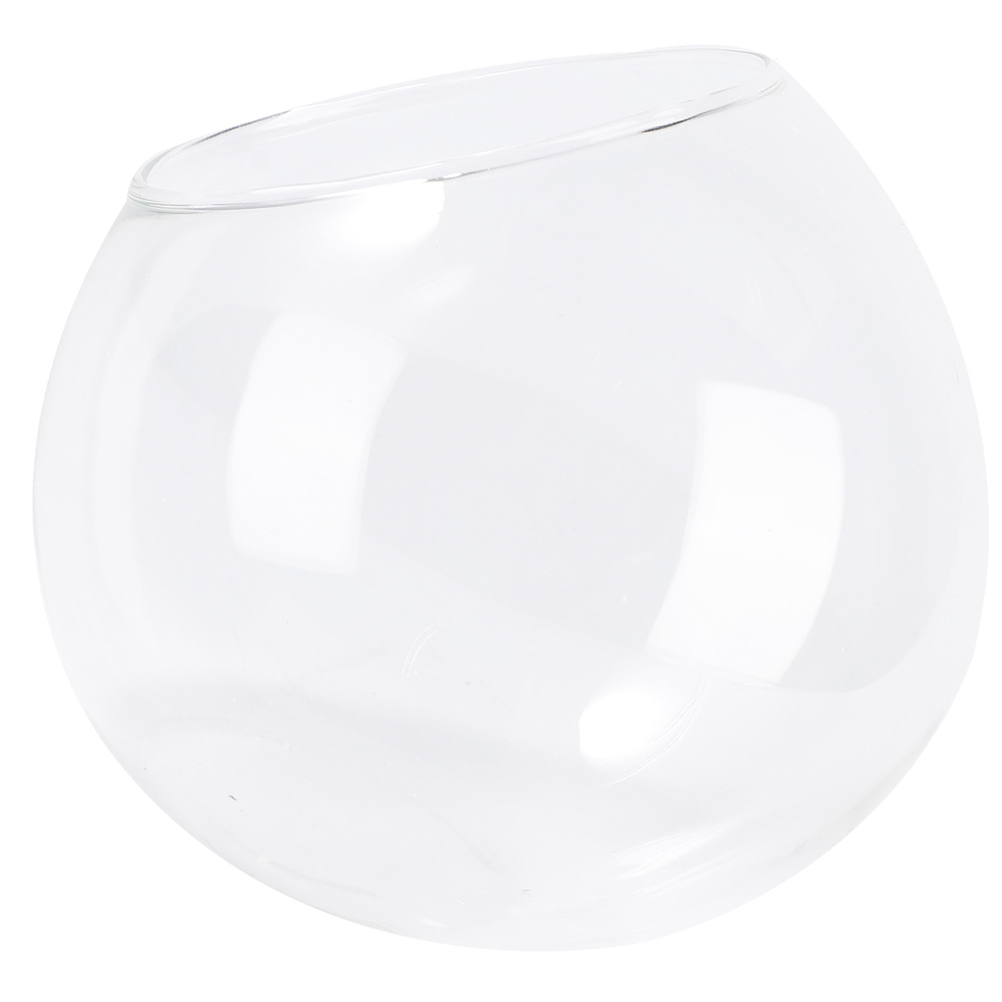 Hamster Glass Nest Fossa Habitat Gifts Critter Sand Bath Glasses