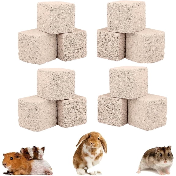 Hamster Lava Blocks,Tutuviw 10 Pcs Small Animal Chews Toys,Hamster Teeth Grinding Stones,Natural Mineral Calcium Square Stone for Bunny Hamsters Rabbit Parrot