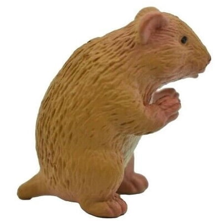 Hamster, Realistic Small Model Plastic Replica Animal, Educational Gift 1.5" F1677 B63