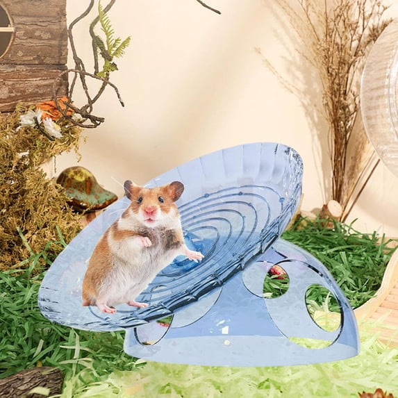 Hamster Silent Exercise Wheel & Hiding House, Multifunctional Small Animal Toy With Anti-Slip Design, Cage Accessory For Hamsters, Gerbils, Mice