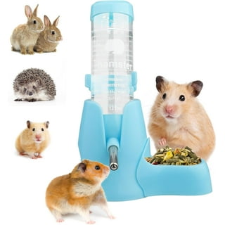 Guinea Pig Water Bottle