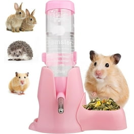 Bunny water bottle walmart deals