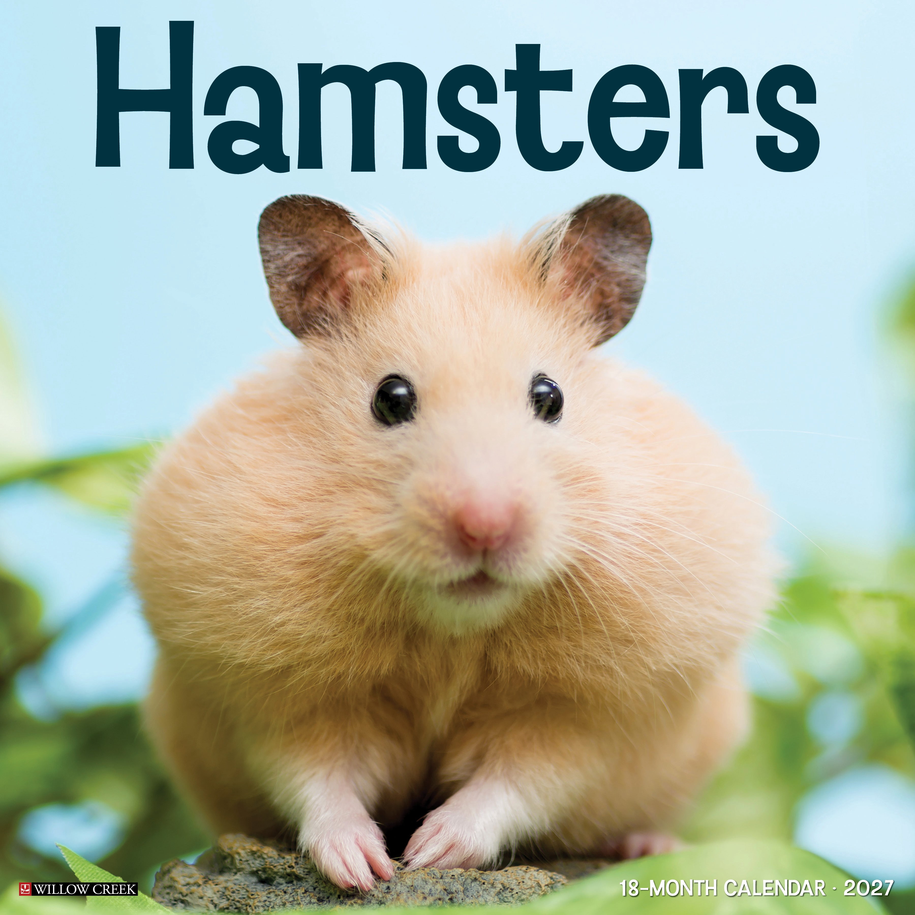 Willow Creek Press, Hamsters 2027 Wall Calendar