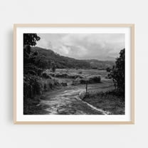 Hanalei Fields - Hanalei Hawaii Photography Black and White Forest Nature Landscape Rural Scenic Countryside Oak Framed Wall Art Print 8 x 10 inches