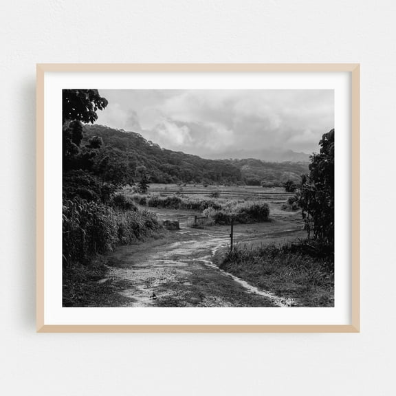 Hanalei Fields - Hanalei Hawaii Photography Black and White Forest Nature Landscape Rural Scenic Countryside Oak Framed Wall Art Print 8 x 10 inches