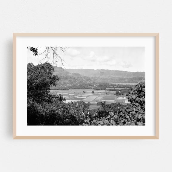 Hanalei, Kaua'i - Hanalei Hawaii Photography Black and White Landscape Nature Mountain Rural Scenic Farm Oak Framed Wall Art Print 5 x 7 inches