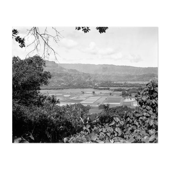Hanalei, Kaua'i - Hanalei Hawaii Photography Black and White Landscape Nature Mountain Rural Scenic Farm Unframed Wall Art Print 12 x 18 inches