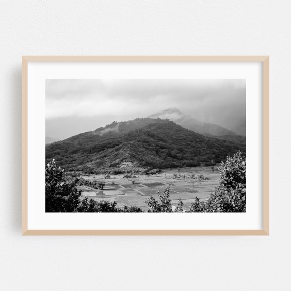Hanalei Taro Fields - Hanalei Hawaii Photography Black and White Landscape Mountain Nature Forest Scenic Foggy Oak Framed Wall Art Print 5 x 7 inches
