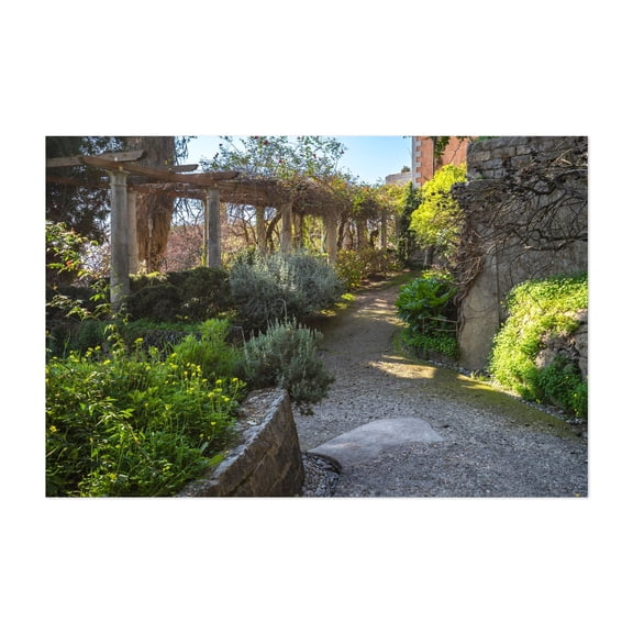 Hanbury Botanical Garden in Italy 5 - Ventimiglia Liguria Italy Photography Garden Nature Botanical Scenic Rustic Landscape Unframed Wall Art Print 12 x 18 inches