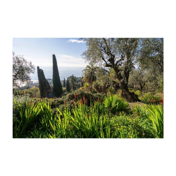 Hanbury Botanical Garden in Italy - Ventimiglia Liguria Italy Photography Nature Garden Tropical Landscape Scenic Botanical Coast Unframed Wall Art Print 40 x 60 inches