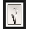 thumbnail image 1 of Hanchevici, Calin 17x24 Black Ornate Wood Framed with Double Matting Museum Art Print Titled - Calla, 1 of 4