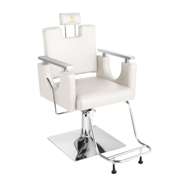 Hydraulic Barber Chair for Hair Stylist, 440 lbs Capacity, 360° Swivel, Adjustable Height Salon Spa Equipment for Barbershop, Beauty