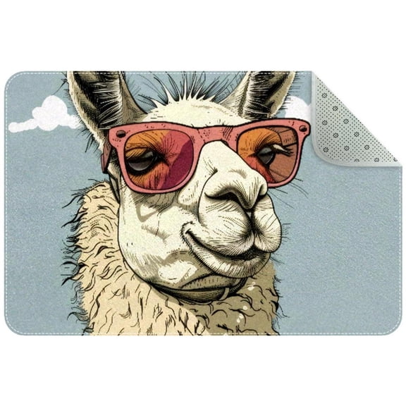 Hand Drawing Llama Entryway Rug, 2x3 Area Rug Indoor Door Mat Non-slip Washable Floor Carpet Rug for Bedroom Office Dining Room Bathroom