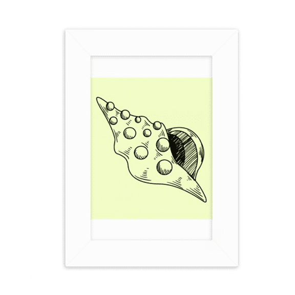 Hand Drawing Whelk Conch Shell Desktop Photo Frame Picture Display Decoration Art Painting