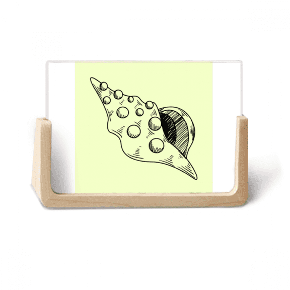 Hand Drawing Whelk Conch Shell Photo Wooden Photo Frame Tabletop Display