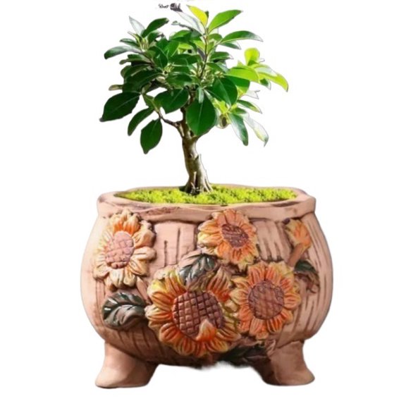 Hand-Drawn Ceramic Plant Flowerpot  Rough Pottery Table Planter for Small Succulents, Cacti, or Herbs  Unique Creative Home Office Desk Decor