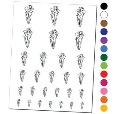 Hand Drawn Daffodil Flower Water Resistant Temporary Tattoo Set Fake Body Art Collection - Black