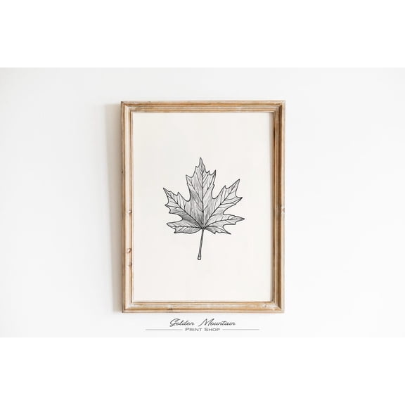 Hand Drawn Maple Leaf Art poster, Minimalist Autumn Botanical Drawing, Black and White Fall Wall Decor, Fall Unframed Paper Print