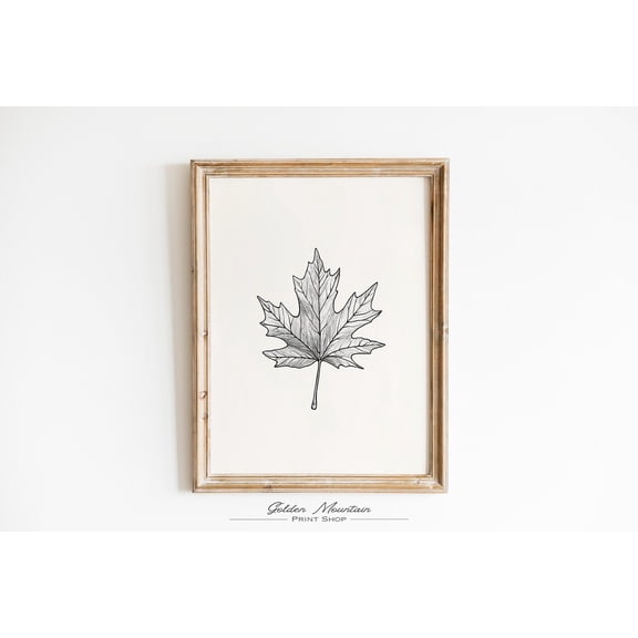 Hand Drawn Maple Leaf Art poster, Minimalist Autumn Botanical Drawing, Black and White Fall Wall Decor, Fall Unframed Paper Print