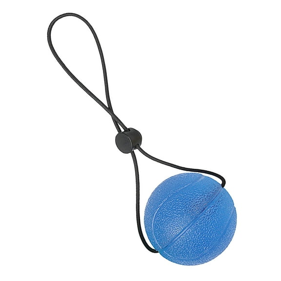 Hand Grip Strengthener, Squeezing Ball, Exercise Squeezer, Power , Hand Exercise Balls for Adults, Seniors, Piano Players, Sports Blue 30KG