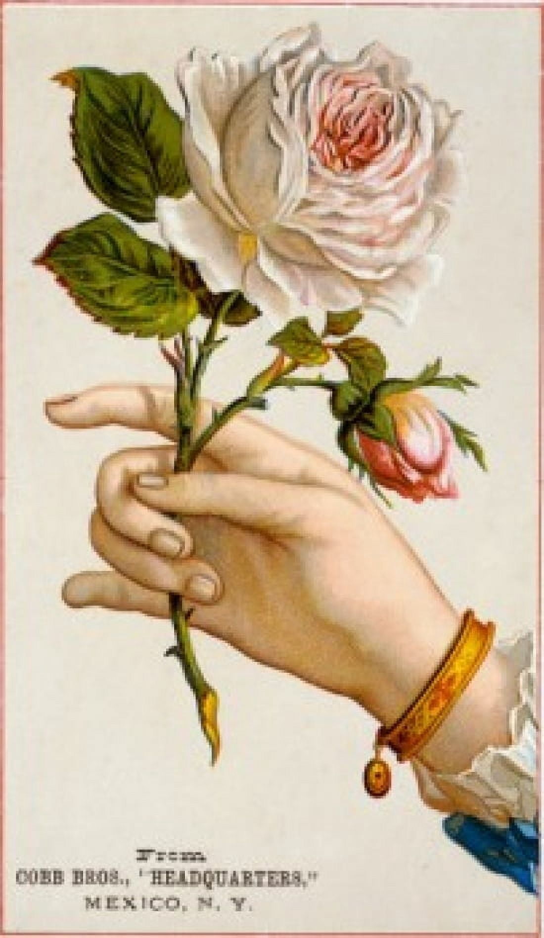 Hand Holding Roses Nostalgia Cards Illustration Canvas Art - (18 x 24)