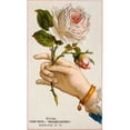 thumbnail image 1 of Hand Holding Roses Nostalgia Cards Illustration Poster Print - 18 x 24 in., 1 of 1