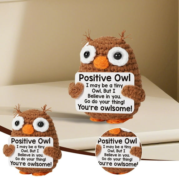 Hand-Knit Positivity Doll in Decorative Pot - Emotional Support Crochet Gift with Uplifting Message Card - Cute Huggable Worry Doll for Anxiety Relief & Home Decor--Owl
