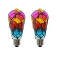 thumbnail image 1 of Hand-Painted Decorative Bulb Set, Easy Diy Craft Project For All Ages, 2 Pack Of Unique Artistic Lamps For Home Decoration, 1 of 7