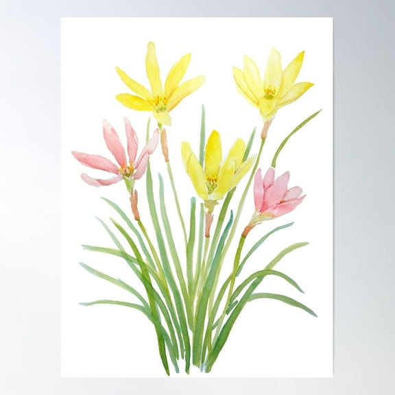 Hand Painted Yellow And Purple Rain Lily Ink And Watercolour Poster Wall Art, Modern Wall Decor For Living Room Bedroom, 8x12 UNFRAMED