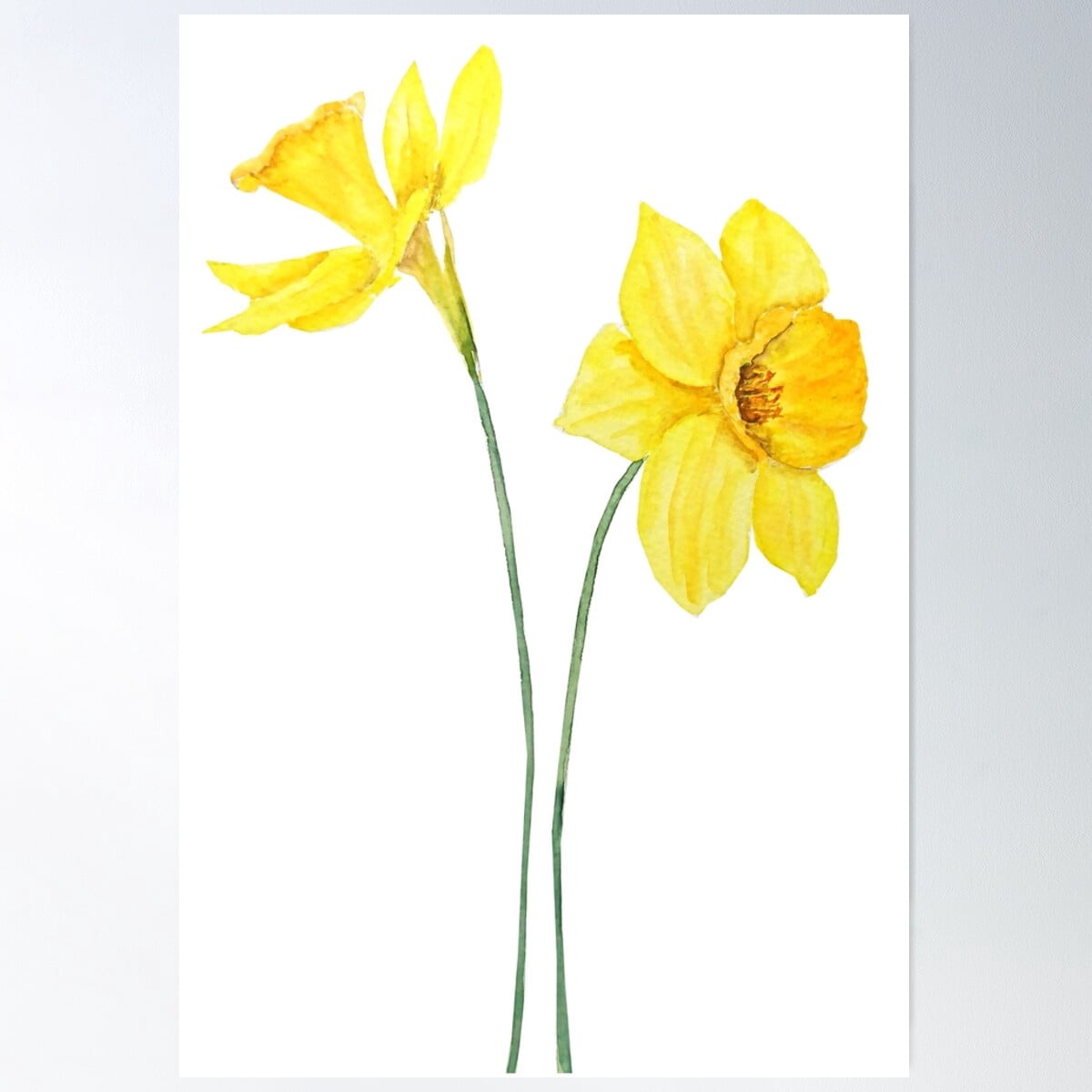 Hand Painted Yellow Daffodils Watercolor Painting Poster Wall Art ...